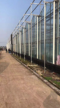 greenhouse 2